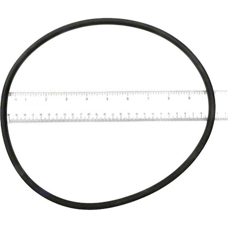 Whole-In-One The Purex O-Ring WH620316